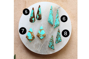Big Mama Turquoise Fringe Earrings- Pick Your Stone